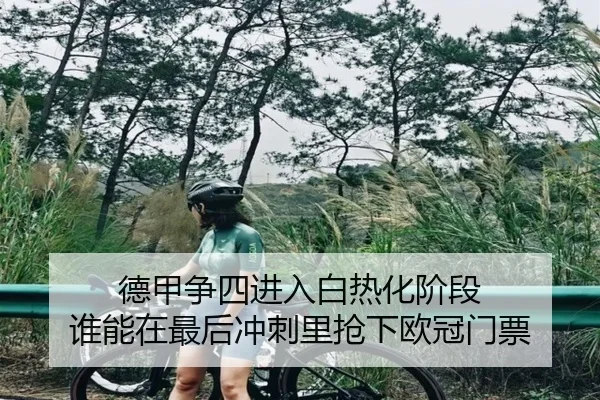 德甲争四进入白热化阶段 谁能在最后冲刺里抢下欧冠门票