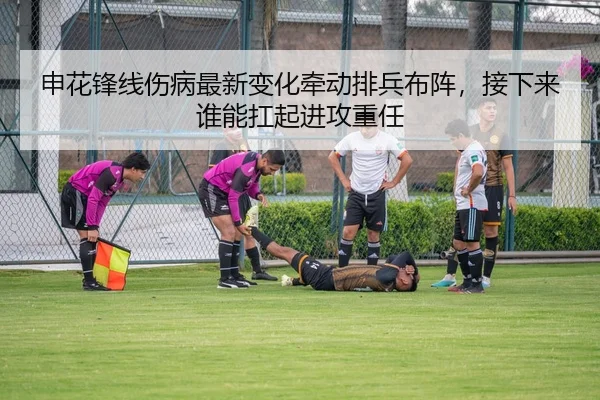 申花锋线伤病最新变化牵动排兵布阵，接下来谁能扛起进攻重任